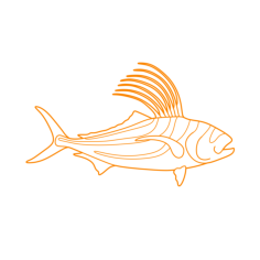 Animals Saltwater Fish Roosterfish Line Art Svg Vector, Free Vectors File